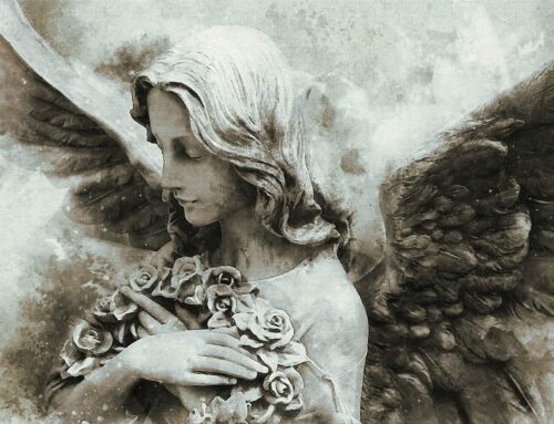 Invite the Angels of Nature into your Life